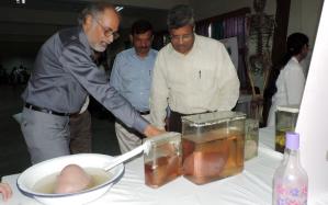 Department of Anatomy Exhibition date 10-11-2018