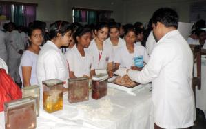 Department of Anatomy Exhibition date 10-11-2018