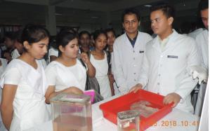 Department of Anatomy Exhibition date 10-11-2018