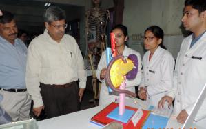 Department of Anatomy Exhibition date 10-11-2018