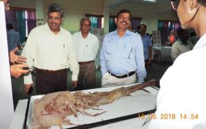 Department of Anatomy Exhibition date 10-11-2018