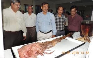 Department of Anatomy Exhibition date 10-11-2018