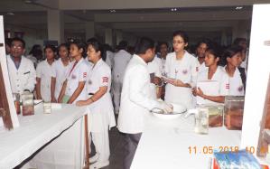 Department of Anatomy Exhibition date 10-11-2018